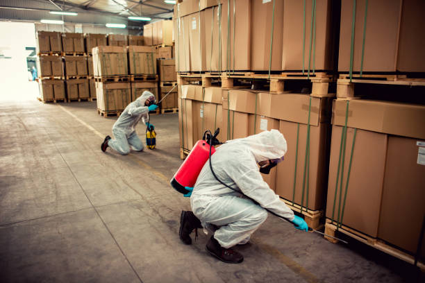 Edgewater, CO Pest Control Company