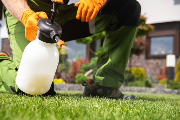 Pest Control for Restaurants in Edgewater, CO